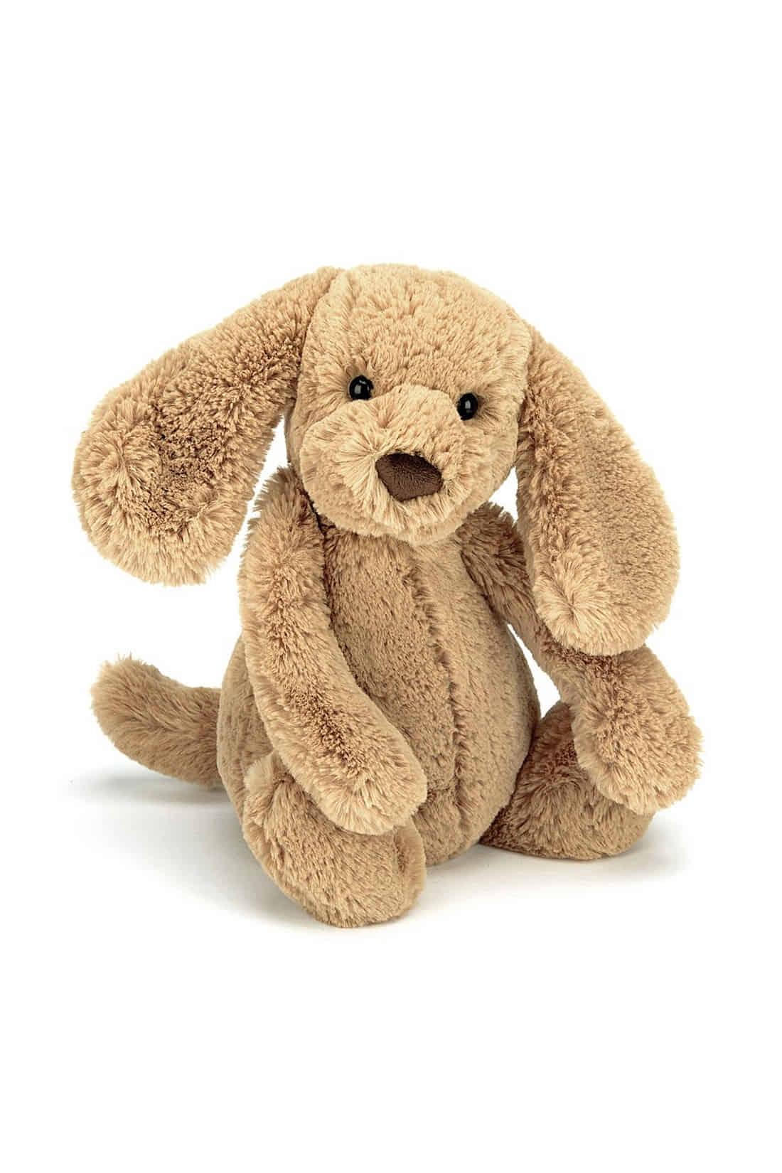 jellycat bashful toffee puppy