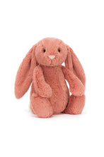 
                        
                          Load image into Gallery viewer, Jellycat Bashful Sorrel Bunny
                        
                      