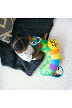 
                        
                          Load image into Gallery viewer, Baby Einstein Cal-a-Pillow Tummy Time Activity Pillow
                        
                      