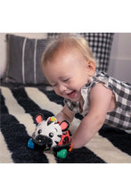 
                        
                          Load image into Gallery viewer, Baby Einstein Curious Car Zen Oball Toy Car &amp; Rattle
                        
                      