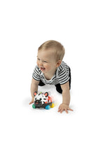 
                        
                          Load image into Gallery viewer, Baby Einstein Curious Car Zen Oball Toy Car &amp; Rattle
                        
                      