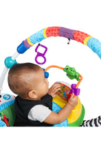 
                        
                          Load image into Gallery viewer, Baby Einstein Neighborhood Friends Activity Jumper
                        
                      