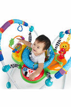 
                        
                          Load image into Gallery viewer, Baby Einstein Neighborhood Friends Activity Jumper
                        
                      