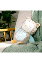 
                        
                          Load image into Gallery viewer, Ingenuity Snuggle Sounds Soothing Plush Toy Nally the Owl
                        
                      