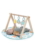 
                        
                          Load image into Gallery viewer, Ingenuity Sun Valley Wooden Toy Arch &amp; Play Mat
                        
                      