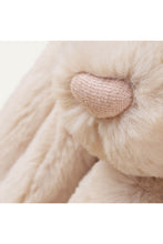 
                        
                          Load image into Gallery viewer, Jellycat Bashful Luxe Bunny Willow 2
                        
                      