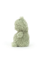 
                        
                          將圖片載入圖庫檢視器 Jellycat Little Frog 2
                        
                      